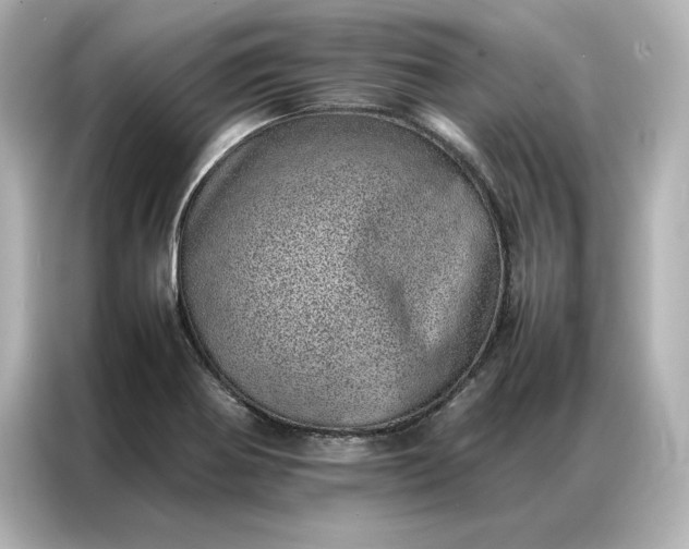 X0000086971370200704301249