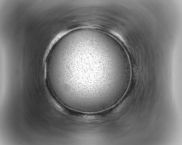 X0000086971371200704301249