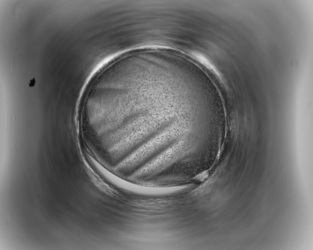 X0000086971372200704301249