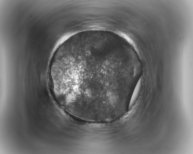 X0000086971373200704301249