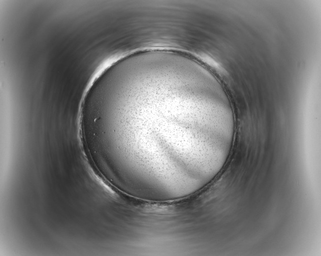 X0000086971374200704301249