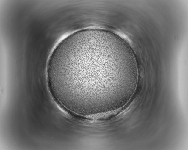 X0000086971375200704301249