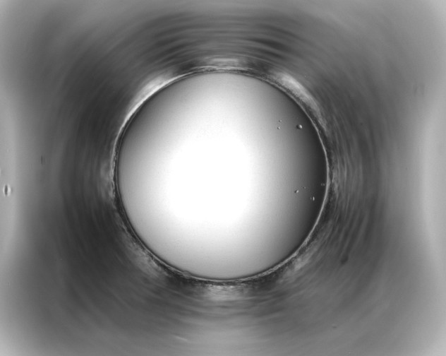 X0000086971378200704301249