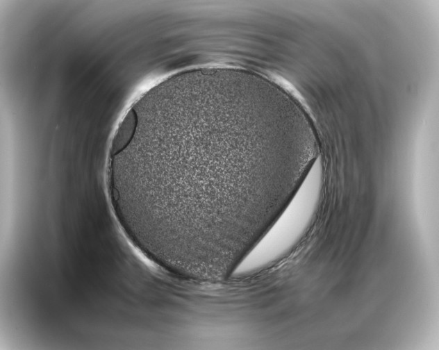 X0000086971379200704301249