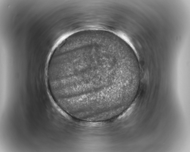 X0000086971381200704301249