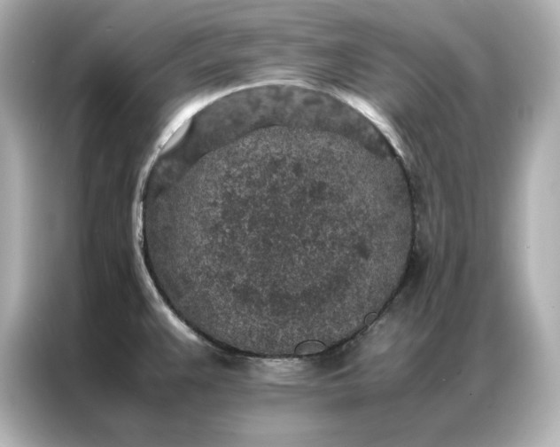 X0000086971383200704301249