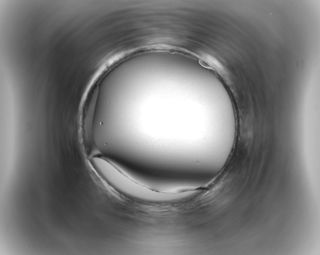 X0000086971384200704301249