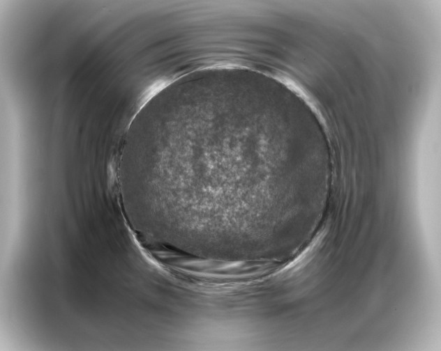 X0000086971385200704301249