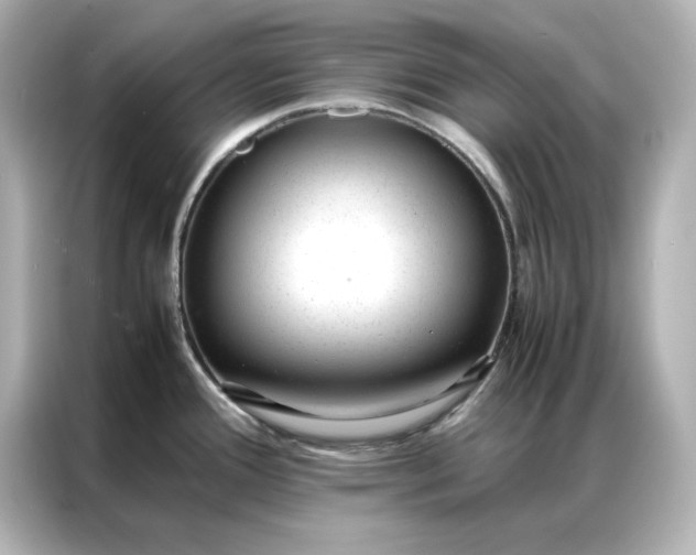 X0000086971388200704301249