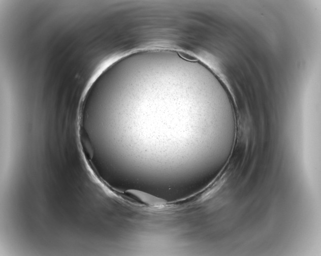 X0000086971390200704301249