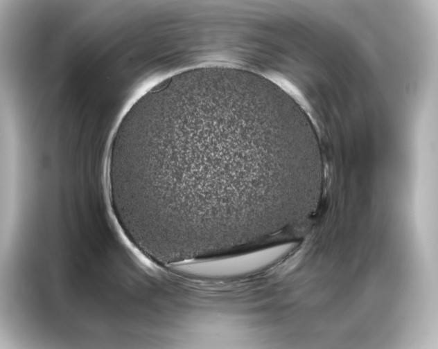 X0000086971391200704301249