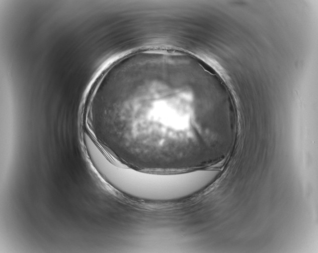 X0000086971392200704301249