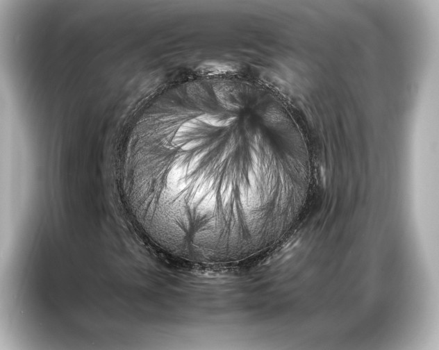 X0000086971393200704301248