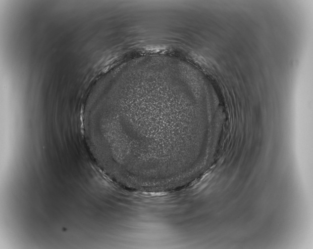 X0000086971394200704301248