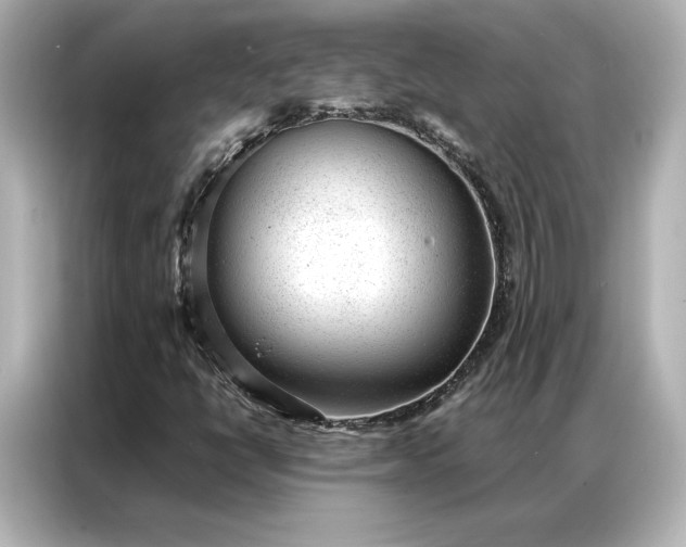 X0000086971398200704301248