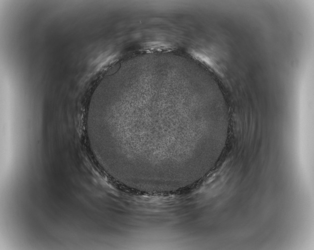 X0000086971399200704301248