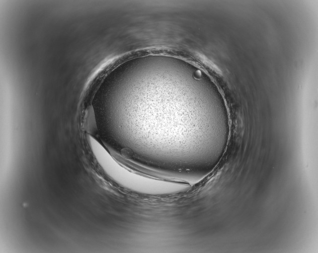 X0000086971400200704301248