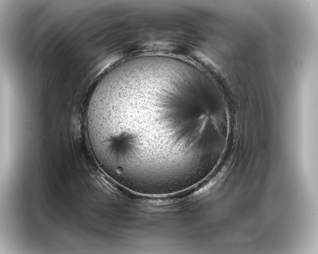 X0000086971401200704301248