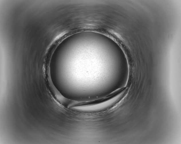 X0000086971402200704301248