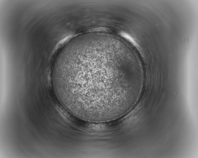 X0000086971403200704301248