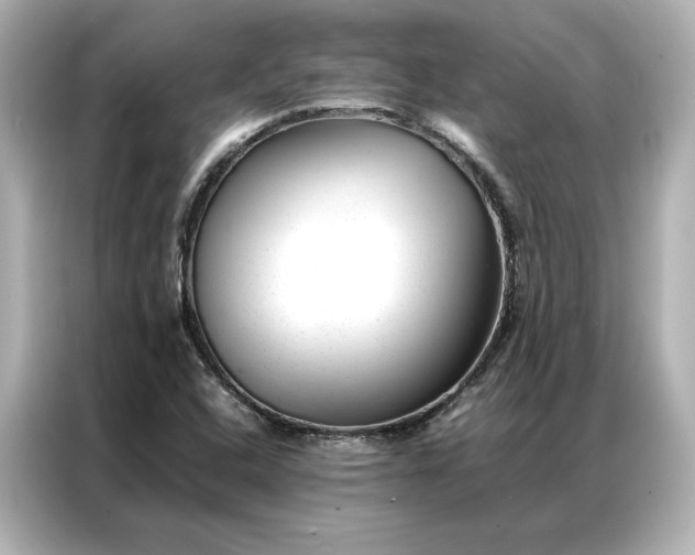 X0000086971408200704301248