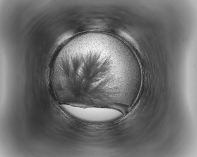 X0000086971411200704301248