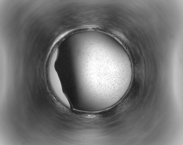 X0000086971412200704301248