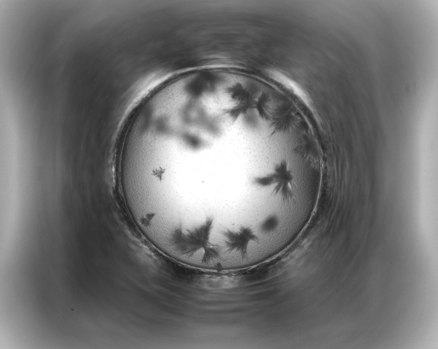 X0000086971415200704301248