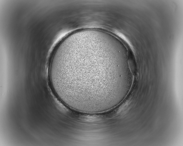 X0000086971416200704301248