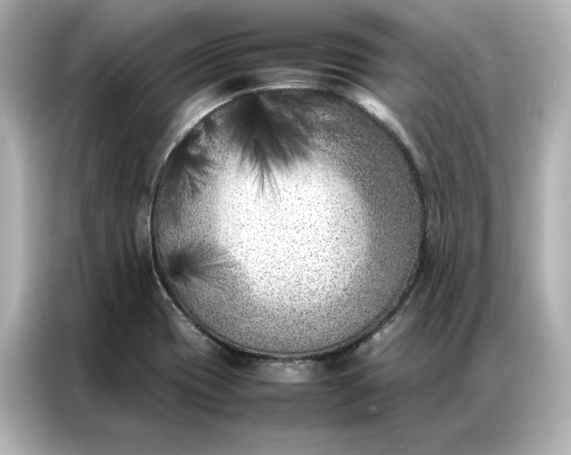 X0000086971417200704301248