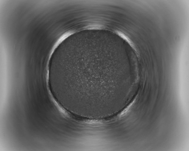 X0000086971418200704301248