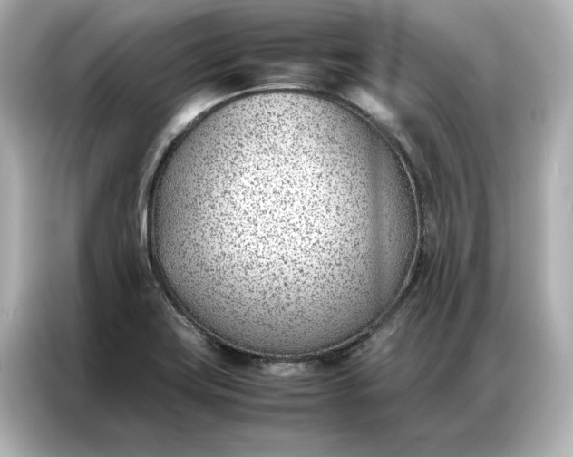 X0000086971419200704301248