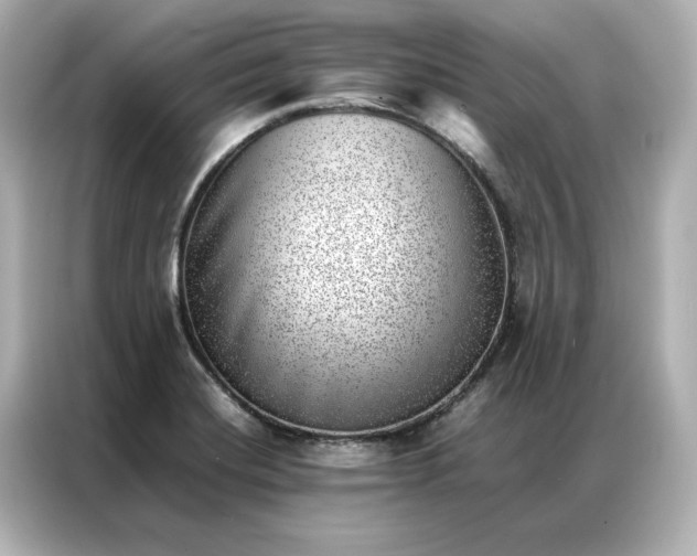 X0000086971420200704301248