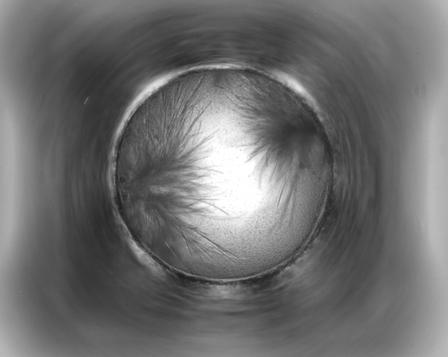 X0000086971421200704301248