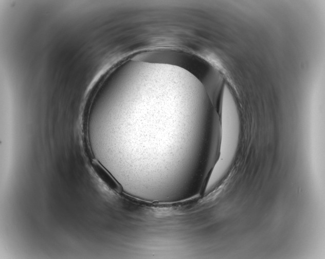 X0000086971422200704301248