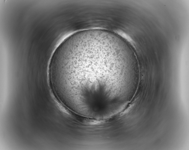 X0000086971423200704301248