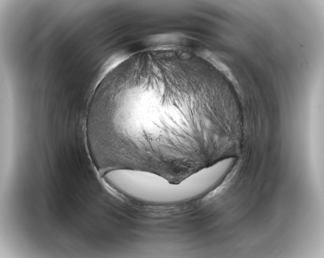 X0000086971425200704301248