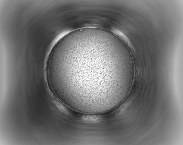 X0000086971427200704301248