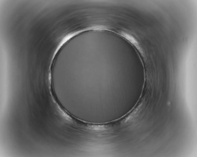 X0000086971428200704301248