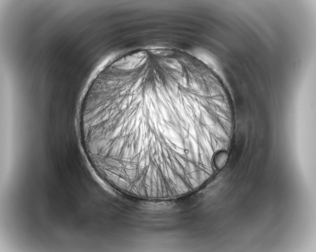 X0000086971429200704301249