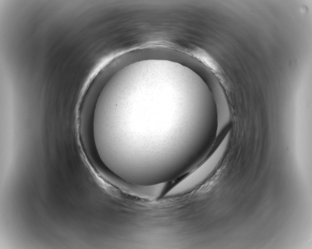 X0000086971430200704301249