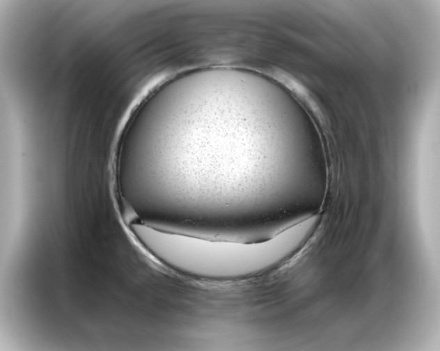 X0000086971432200704301249