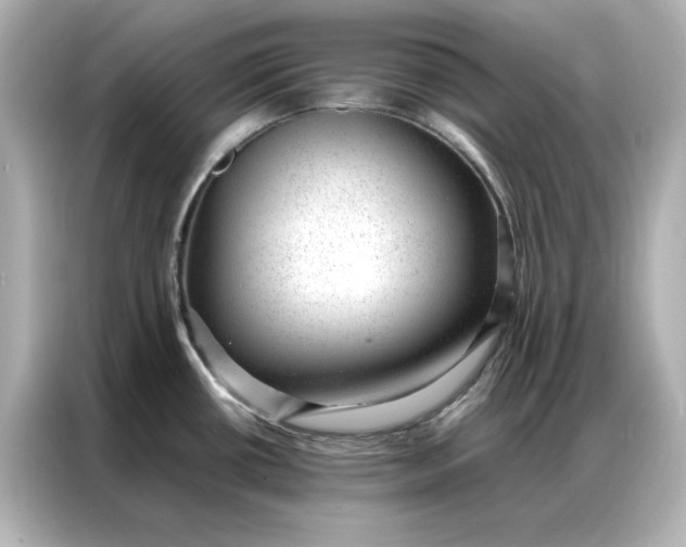 X0000086971434200704301249