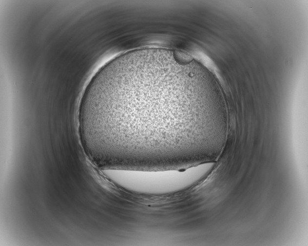 X0000086971435200704301249