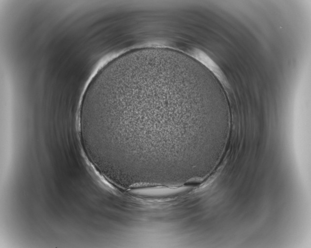 X0000086971436200704301249