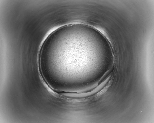 X0000086971438200704301249