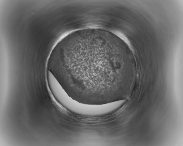 X0000086971439200704301249