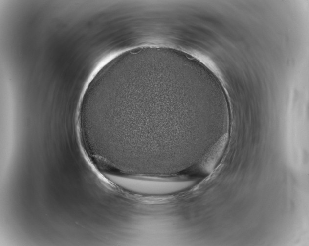 X0000086971440200704301249