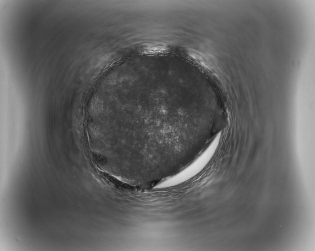 X0000086971441200704301248