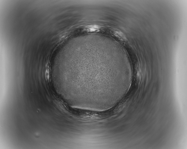 X0000086971442200704301248